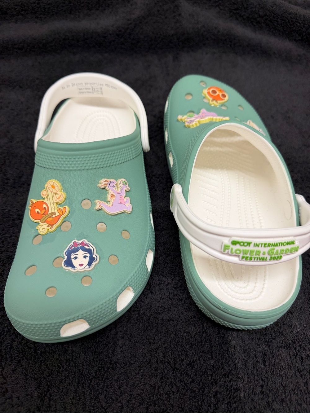 Disney Flower and Garden Festival 2023 Slip-On Crocs with Character Charms